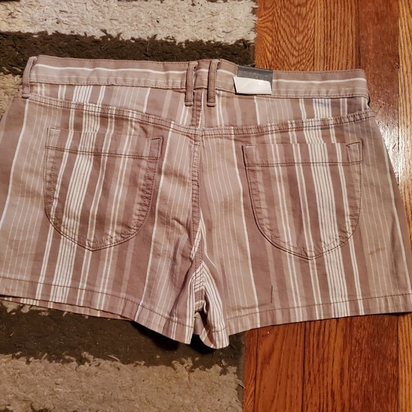 Short Shorts - Picture 7 of 7